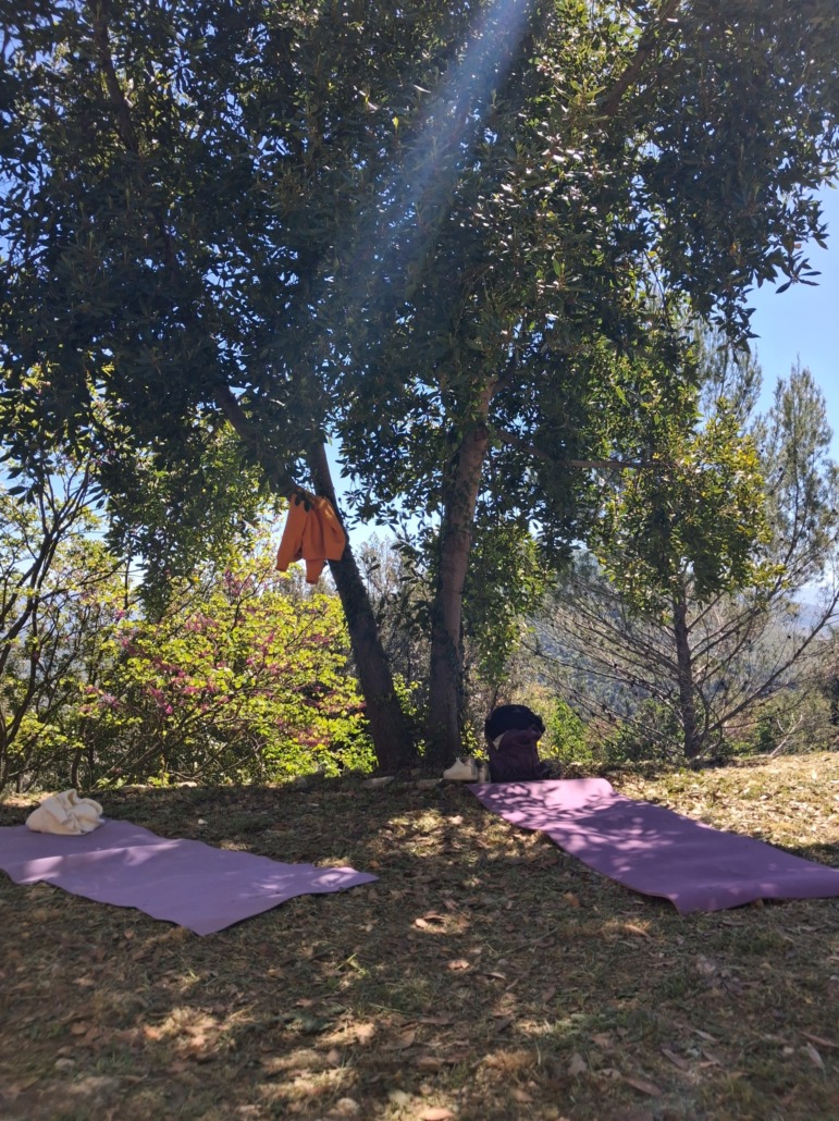 Fara-Sabina-Meditazione-Yoga-771x1030