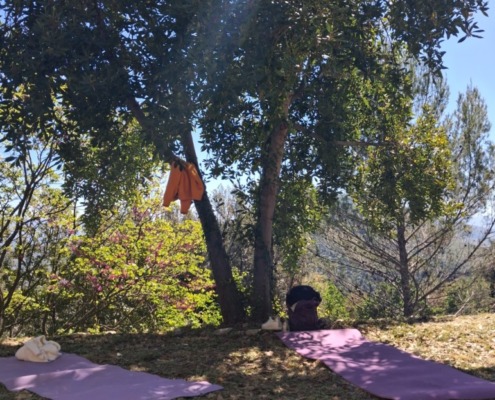 Ritiro Fara-Sabina-Meditazione-Yoga-771x1030-1